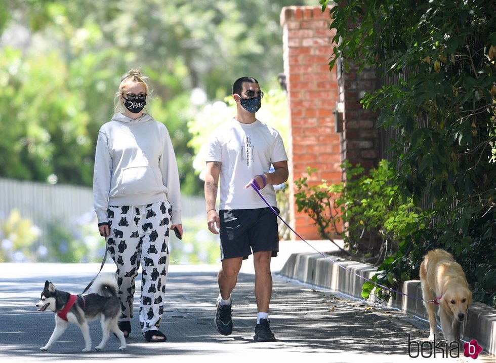 Sophie Turner y Joe Jonas pasean a los perros en la recta final del embarazo