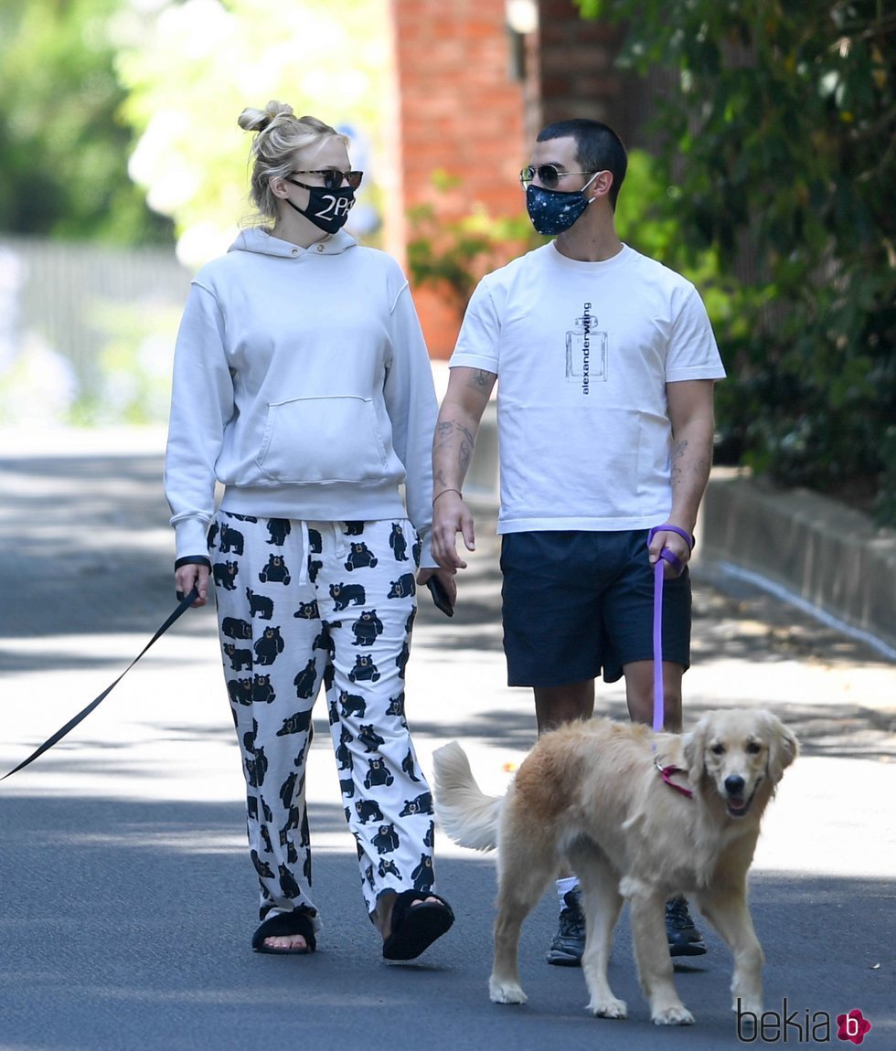 Joe Jonas y Sophie Turner pasean a sus perros