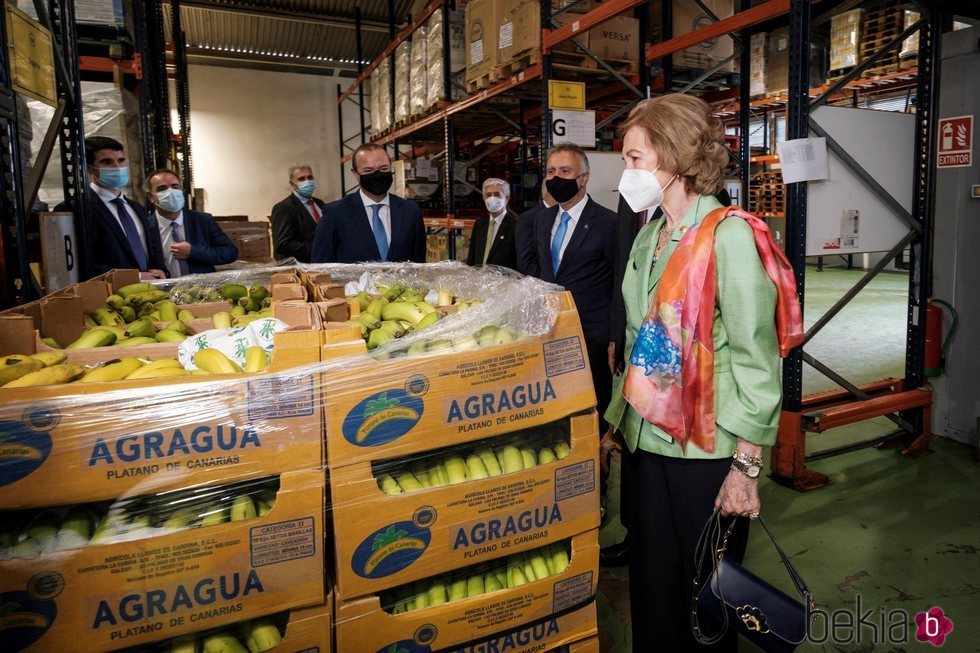 La Reina Sofía en el Banco de Alimentos de Las Palmas de Gran Canaria