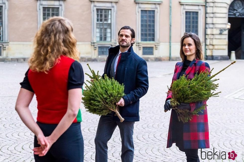 Carlos Felipe y Sofia de Suecia en la recogida de árboles de Navidad tras anunciar que esperan su tercer hijo