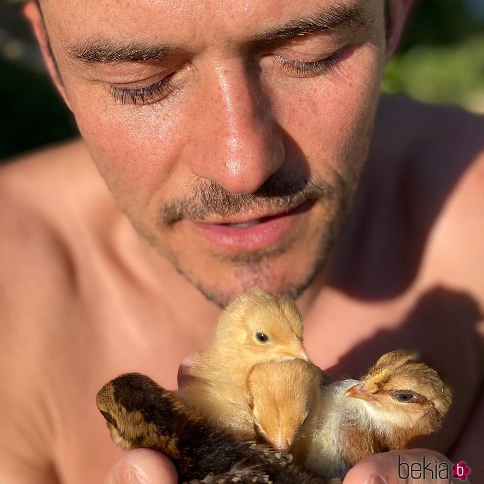 Orlando Bloom con unos pollitos en la mano