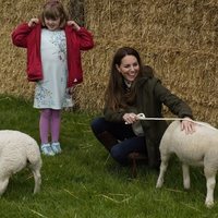 Kate Middleton con una oveja en su visita a una granja en Durhan