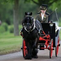 Lady Louise Mountbatten-Windsor llevando un carro de caballos