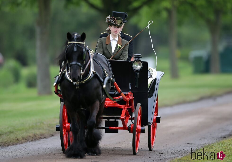 Lady Louise Mountbatten-Windsor llevando un carro de caballos