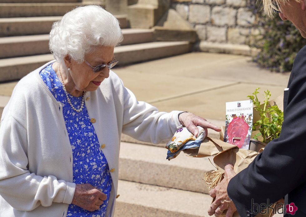 La Reina Isabel con la Rosa Duque de Edimburgo