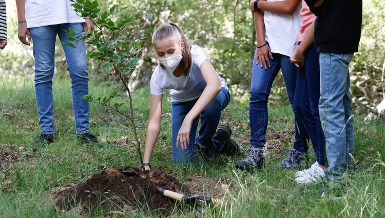 La Princesa Leonor plantando un árbol en el acto del programa europeo #UNÁRBOLPOREUROPA en el Hayedo de Montejo