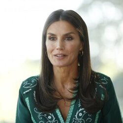 La Reina Letizia en su mensaje telemático en el acto de presentación de la plataforma de personas con discapacidad intelectual