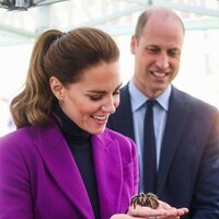 Kate Middleton con la tarántula Charlotte en Irlanda del Norte