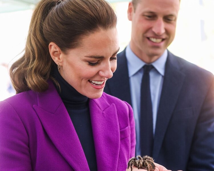 Kate Middleton con la tarántula Charlotte en Irlanda del Norte