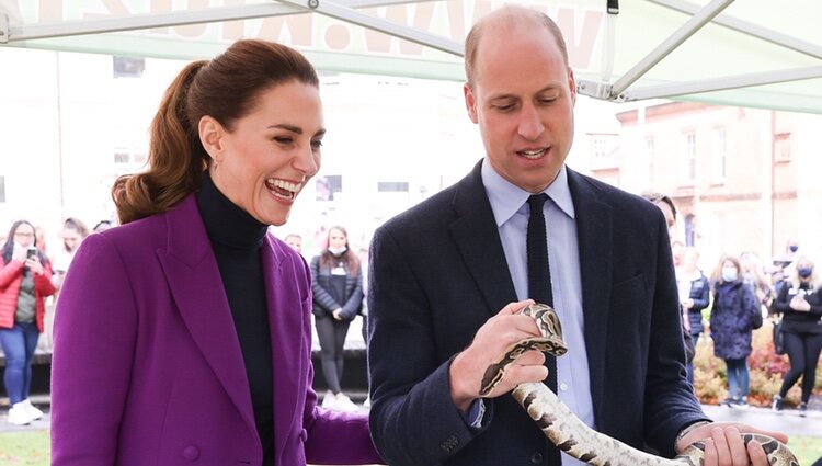 El Príncipe Guillermo con una serpiente en presencia de Kate Middleton en Irlanda del Norte