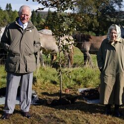 El Príncipe Carlos y la Reina Isabel plantan un árbol por el Jubileo de Platino