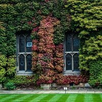 Isabel de Bélgica caminando por el Lincoln College Oxford