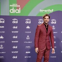 David Bisbal en los Premios Cadena Dial 2021