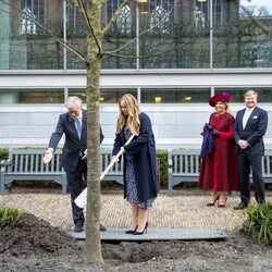 Amalia de Holanda plantando un árbol en presencia de sus padres para conmemorar su entrada en el Consejo de Estado