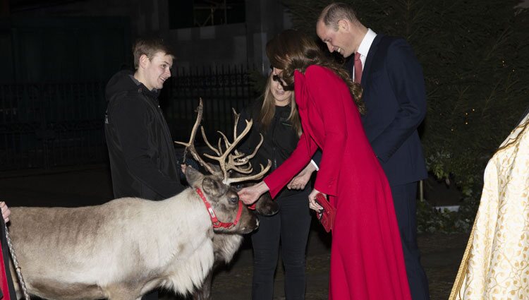 El Príncipe Guillermo y Kate Middleton con un reno en el concierto de villancicos Together At Christmas