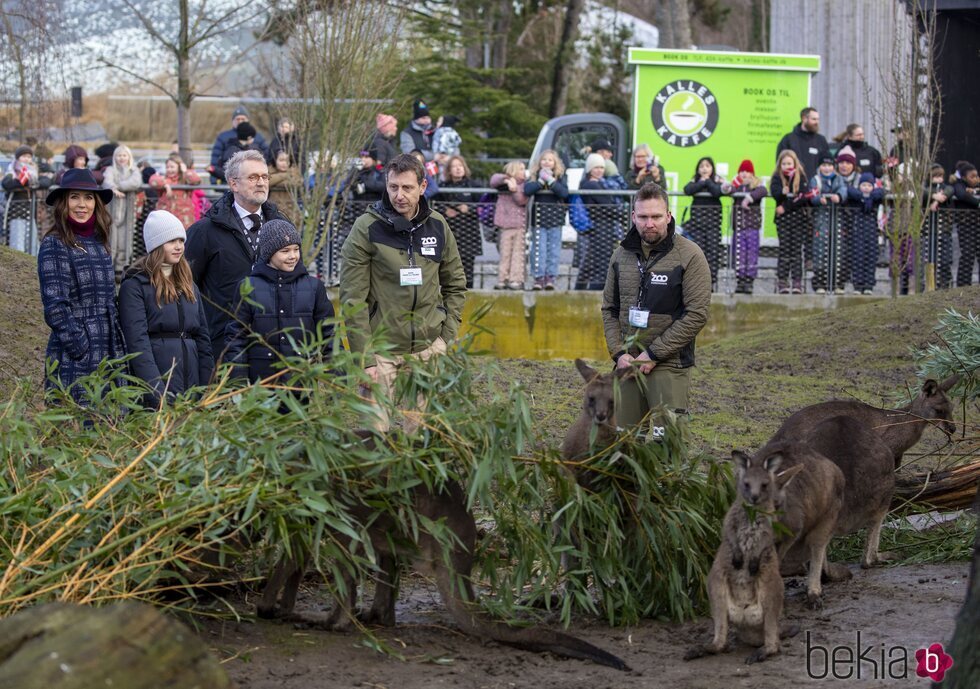 Mary de Dinamarca y sus hijos Vicente y Josefina viendo canguros en la inauguración del Mary's Australian Garden en el zoo de Copenhague