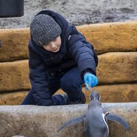 Vicente de Dinamarca alimentando a un pingüino en la inauguración del Mary's Australian Garden en el zoo de Copenhague