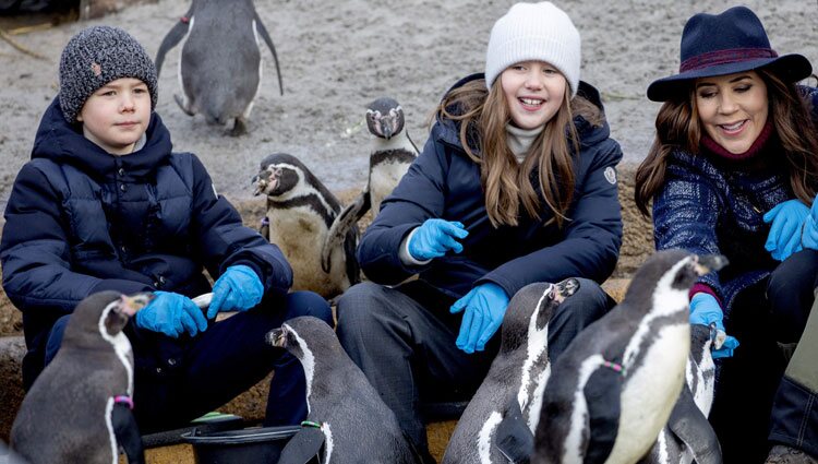 Mary de Dinamarca y sus hijos Vicente y Josefina de Dinamarca con unos pingüinos en la inauguración del Mary's Australian Garden en el zoo de Copenhague