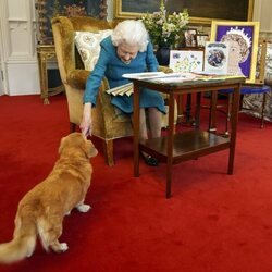 La Reina Isabel acaricia a uno de sus Dorgis en su 70 aniversario de reinado