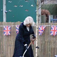 Camilla Parker plantando un árbol en su visita a la Escuela Roundhill de Bath