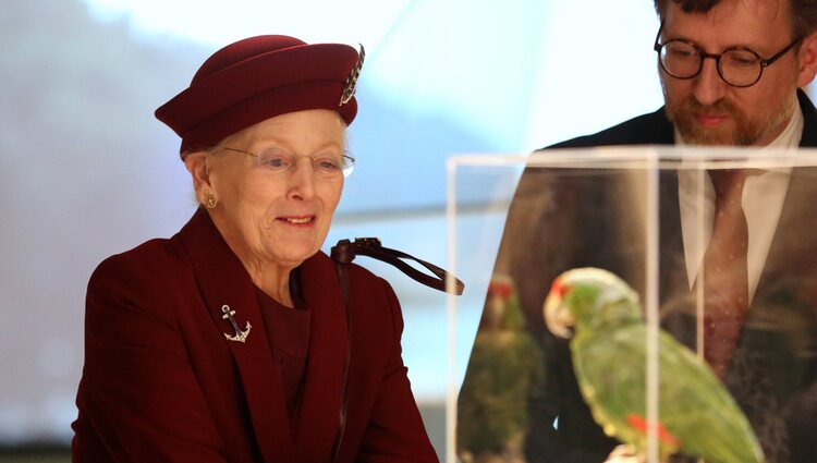 Margarita de Dinamarca en la apertura de la exposición por el 90 aniversario del Dannebrog