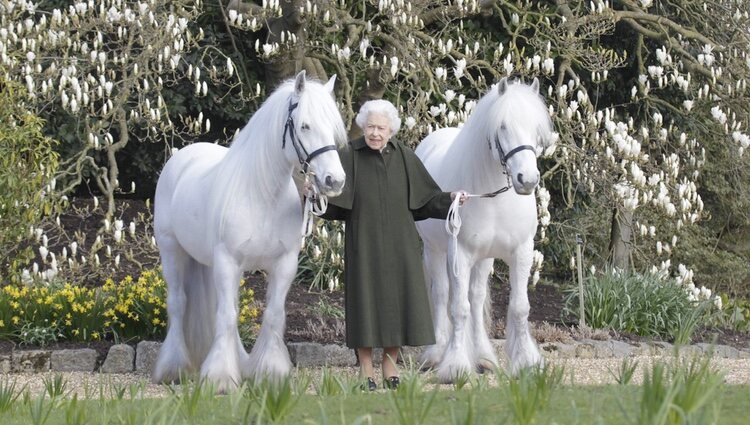 La Reina Isabel en su 96 cumpleaños con sus ponis