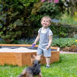 Charles de Luxemburgo y su perro en su 2 cumpleaños