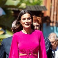 La Reina Letizia luce abdominales en el Día Mundial de la Cruz Roja y la Media Luna Roja