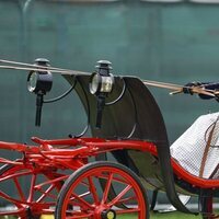 Sophie de Wessex llevando un coche de caballos en The Royal Windsor Horse Show