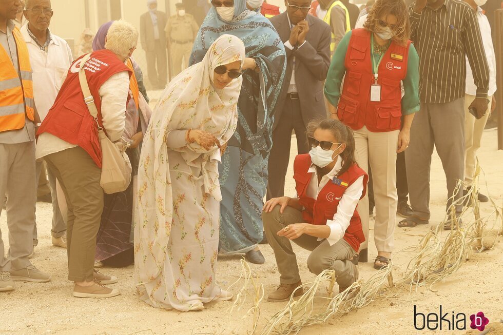 La Reina Letizia visita un proyecto de producción agrícola en Mauritania