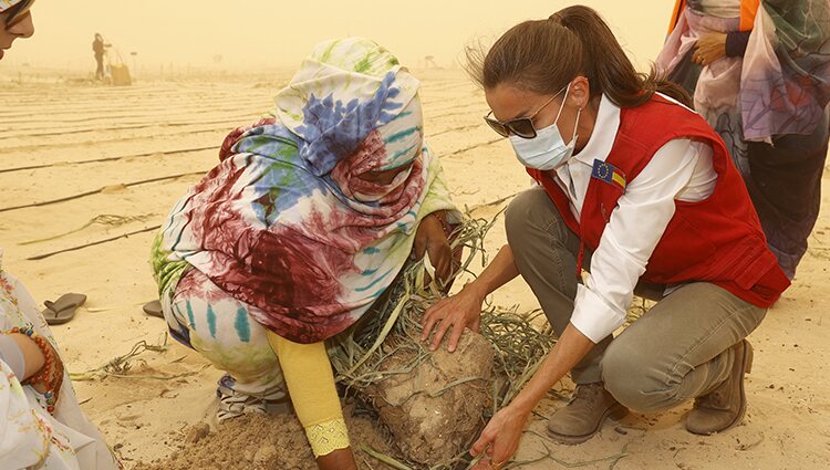 La Reina Letizia, en medio de una tormenta de arena en Mauritania