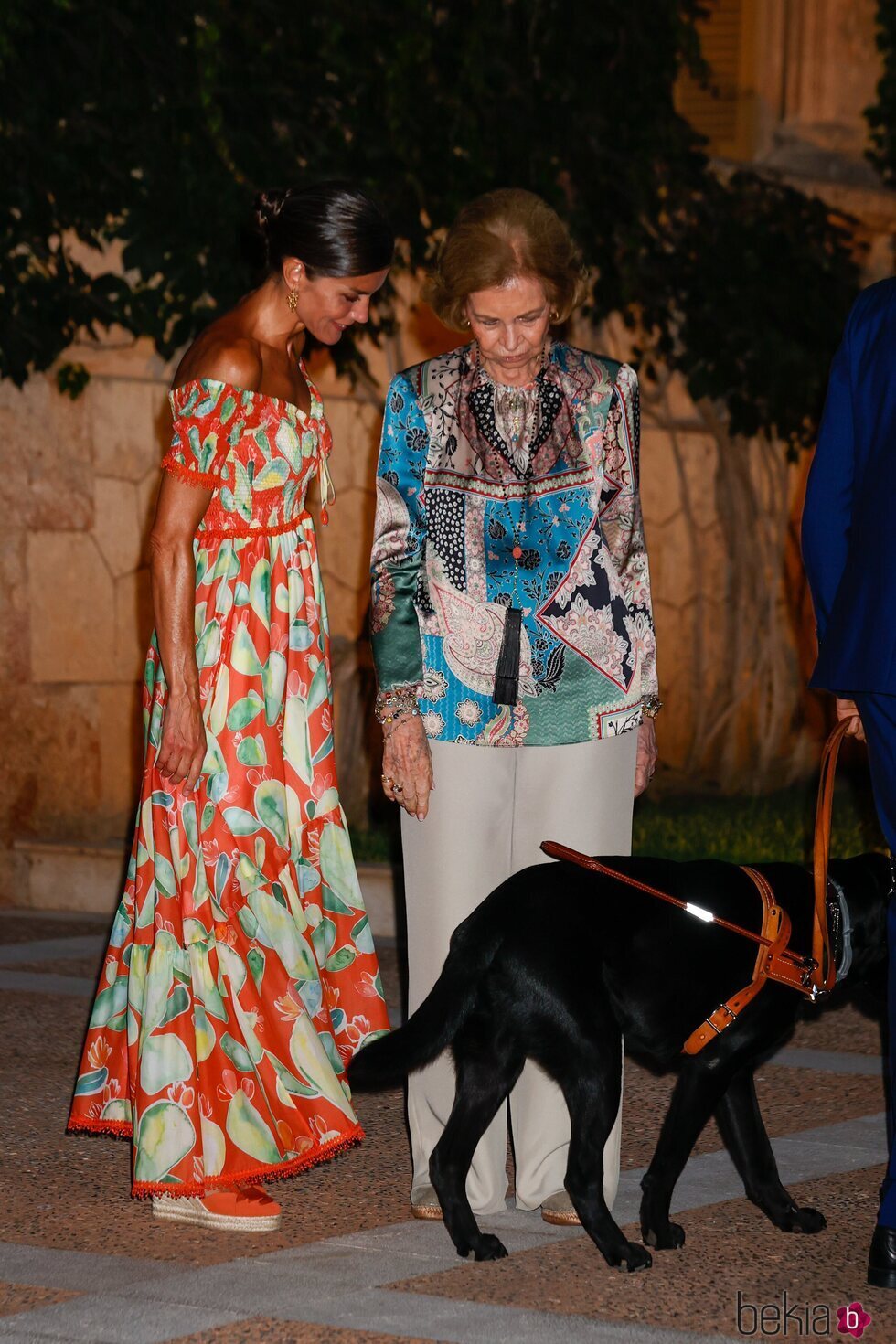 La Reina Letizia y la Reina Sofía con el perro guía de Joan Monar Martínez en la recepción a la sociedad balear en Marivent