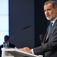 El Rey Felipe VI en el encuentro empresarial Hispano-Alemán durante su Visita de Estado a Alemania