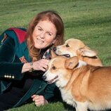 Sarah Ferguson con los corgis de la Reina Isabel II