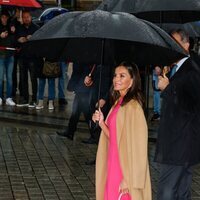 La Reina Letizia con paraguas, un vestido rosa y bolso de flores en la Puerta de Brandeburgo en la Visita de Estado de los Reyes de España a Alemania