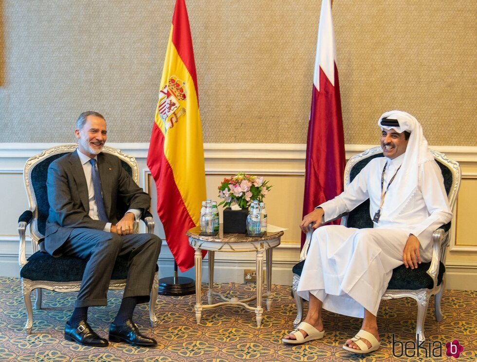 El Rey Felipe VI y el Emir de Catar durante un encuentro en Doha