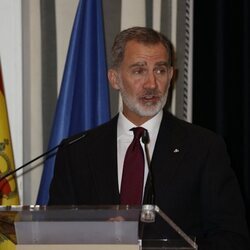 El Rey Felipe VI en su discurso en la entrega del Premio Francisco Cerecedo a Pilar Bonet