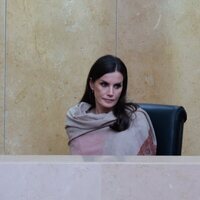 La Reina Letizia, muy seria en la Asamblea Nacional de Angola