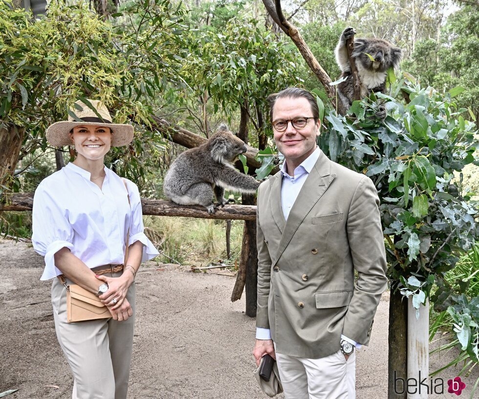 Victoria y Daniel de Suecia con unos koalas en Australia