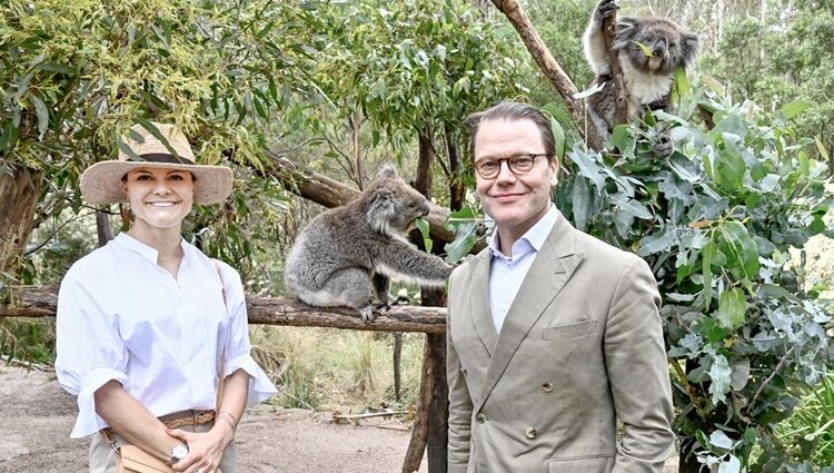 Victoria y Daniel de Suecia con unos koalas en Australia