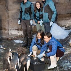 Joaquín y Marie de Dinamarca mirando a sus hijos Henrik y Athena de Dinamarca dando de comer a los pingüinos