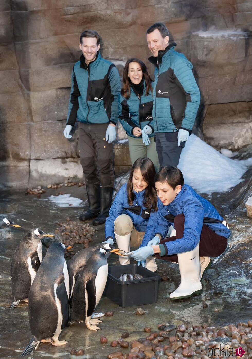 Joaquín y Marie de Dinamarca mirando a sus hijos Henrik y Athena de Dinamarca dando de comer a los pingüinos