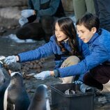 Henrik y Athena de Dinamarca dando de comer a unos pingüinos