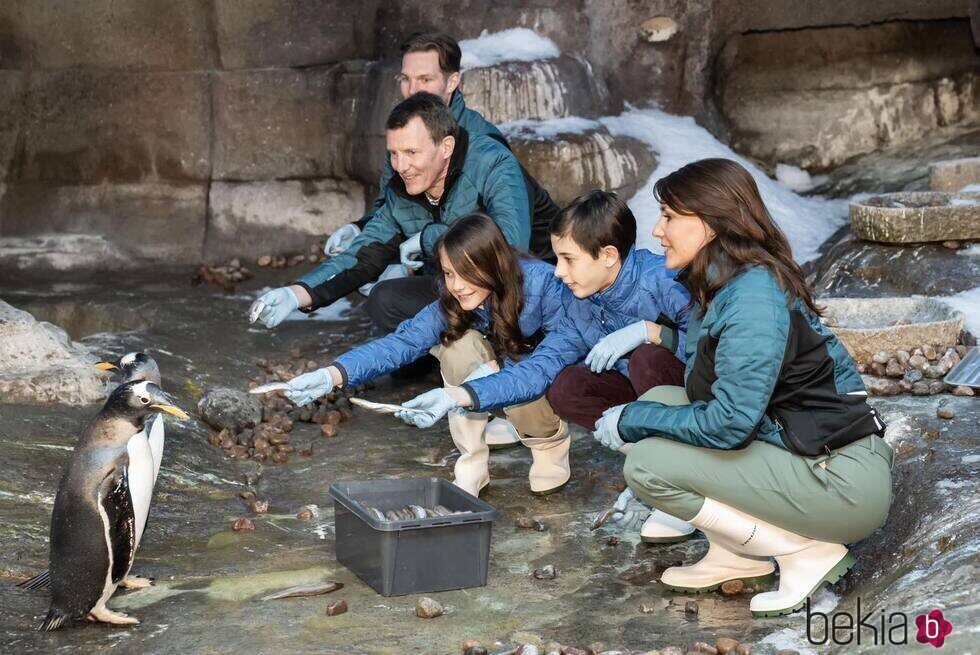 Joaquín y Marie de Dinamarca y sus hijos Henrik y Athena de Dinamarca dando de comer a los pingüinos