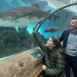 Joaquín de Dinamarca y su hija Athena viendo tiburones en un acuario