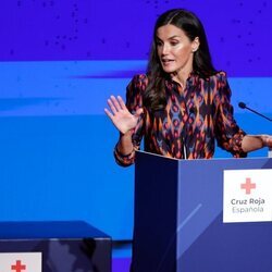 La Reina Letizia en su discurso en el Día Mundial de la Cruz Roja 2023