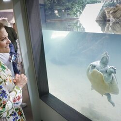 Victoria de Suecia mirando una tortuga en el Turtle Ark del Nordens Ark Zoo