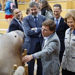 Almeida intenta tocar a un león marino en presencia de la Reina Sofía