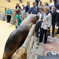 La Reina Sofía y Almeida con un león marino en el Zoo de Madrid