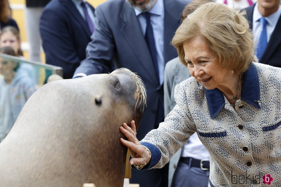 La Reina Sofía acaricia a un león marino en el Zoo de Madrid